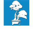 Bonsai icon