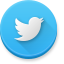 Twitter icon