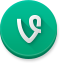 Vine icon