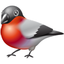 bullfinch_2 icon