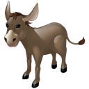 donkey icon