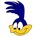 Roadrunner icon