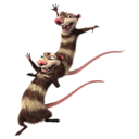 Crash-and-Eddie-icon