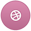 Dribble icon