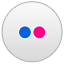 Flickr icon