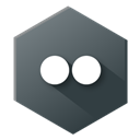 Flickr icon