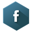 Facebook icon 256x256px (ico, png, icns) - free download | Icons101.com