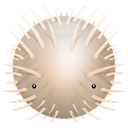 Blowfish-icon