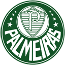 Palmeiras icon