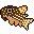 corydoras11 icon