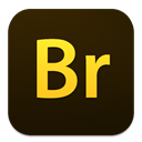 Br icon