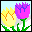 tulips icon
