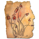 amanitalampionaria icon