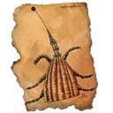 grillotalpatauriniensis icon