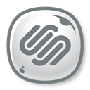 Squarespace-Icon