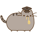 pusheen_10 icon