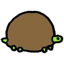tortoise icon