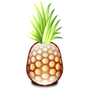 pineapple icon