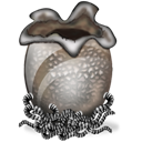 alien_egg icon