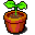 plant icon