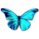 RhetenorMorpho icon