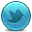 Twitter icon