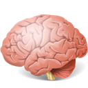 Brain icon