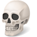 Skull icon