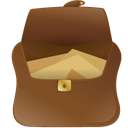 3bag icon