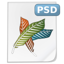 psd icon