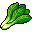 ChineseSpinach icon
