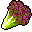 LeafLettuce icon