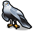 hawk_256 icon