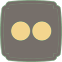 Flickr icon
