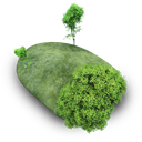 IslandStone_Archigraphs icon