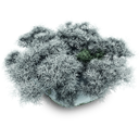 SnowyStone_Archigraphs icon