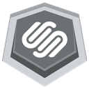 Squarespace-Icon