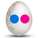 flickr icon