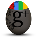google+ icon