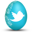 twitterWhite icon