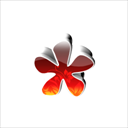 dooffy_design_fonts_pack_icons_0_STAR