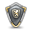 Shield icon