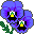 GardenPansyB icon