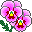 GardenPansyR icon