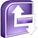 Infopath icon