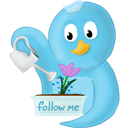 spring-flower-follow-me icon