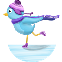 winter-skating-follow-me icon