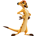 timon icon