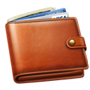 wallet icon