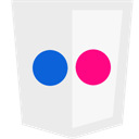 flickr icon